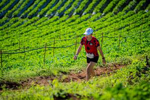 BIB: 
                            <button type="button" onclick="openModal(19161448)" class="btn btn-primary btn-sm float-right btn-popup" data-toggle="modal" data-target=".modal-high-quality">
                        <i class="fas fa-shopping-cart"></i> Add to Cart
                    </button>
                                            <button type="button" onclick="isThisMe(19161448, true)" class="btn btn-success btn-sm float-right btn-popup btn-isme hidden" data-toggle="tooltip" data-placement="bottom" title="นี่คือรูปของคุณใช่ไหม คลิกที่นี่เพื่อเอาเข้าอัลบั้ม">
                        <i class="fas fa-plus"></i> Add to album
                    </button>
                    <button type="button" onclick="isThisMe(19161448, false)" class="btn btn-warning btn-sm float-right btn-popup btn-isnotme hidden">
                        <i class="fas fa-ban"></i> Remove from album
                    </button>